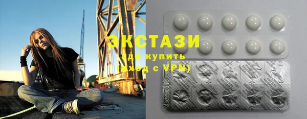 шишки Богородицк