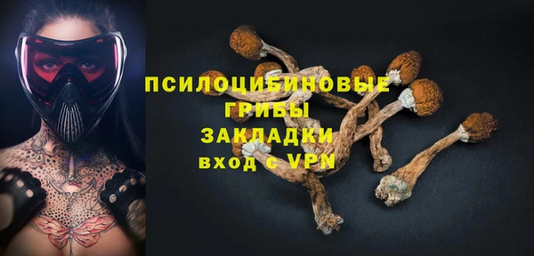 шишки Богородицк