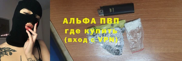 прущий лед Богданович