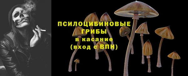 a pvp Белоозёрский