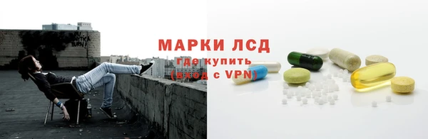 шишки Богородицк