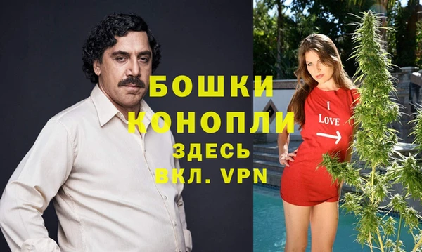 прущий лед Богданович