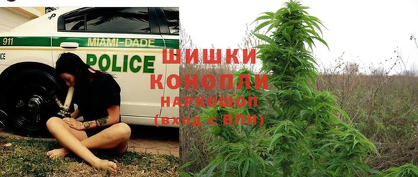 прущий лед Богданович