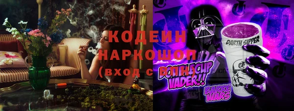 прущий лед Богданович