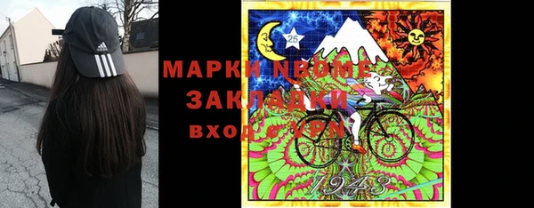 шишки Богородицк