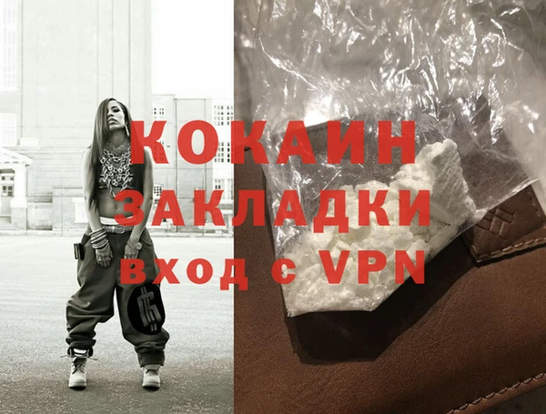 шишки Богородицк
