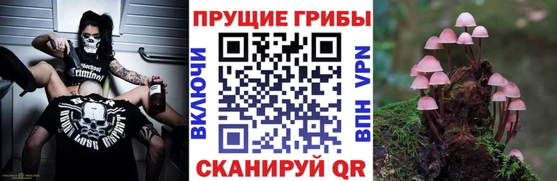 ОМГ ОМГ сайт  наркотики  Билибино  Псилоцибиновые грибы мицелий 